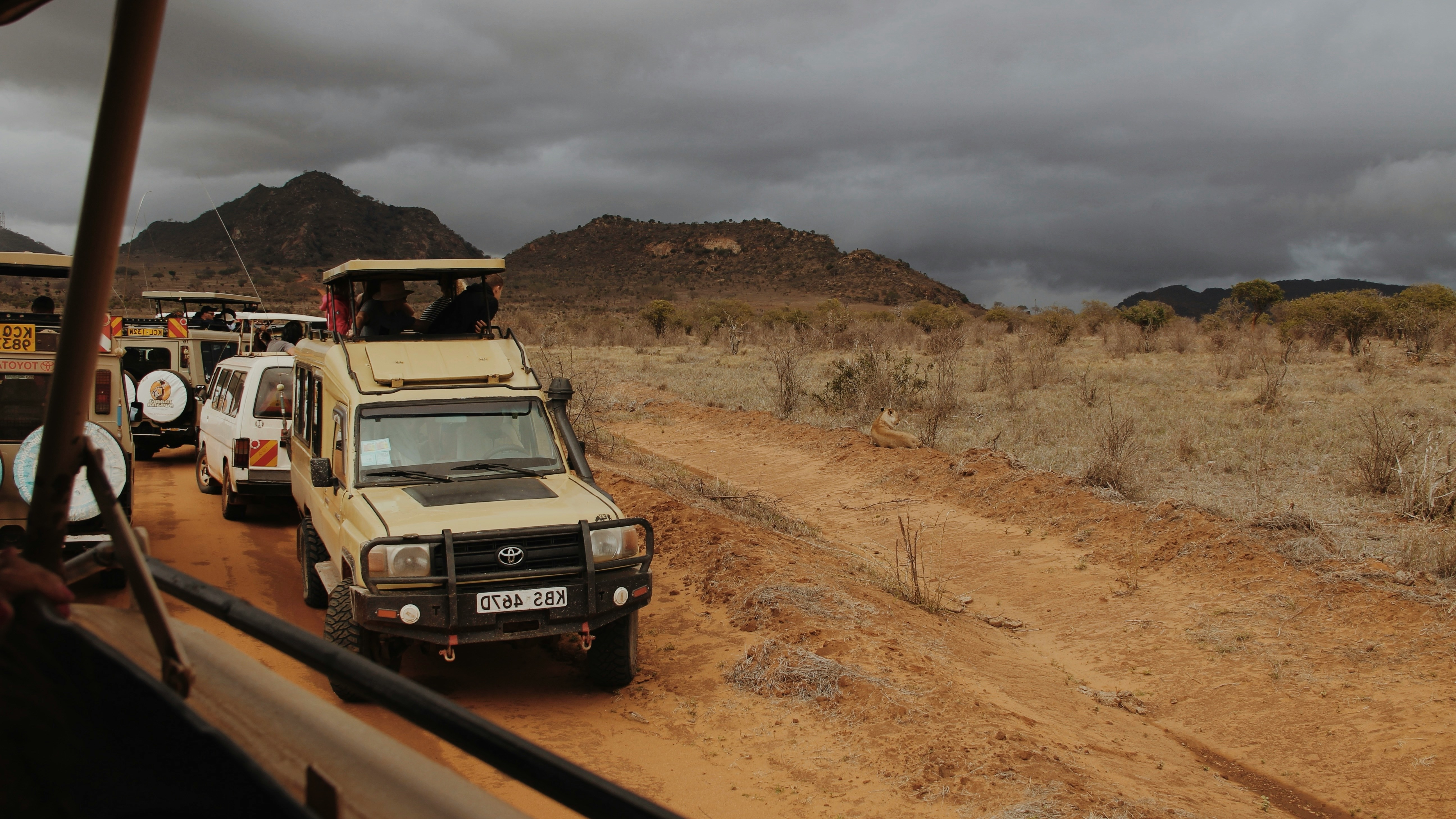 Tsavo National Park